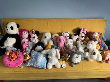 Photo of free Teddies (Rathfarnham) #1