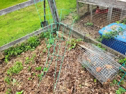 Photo of free 14 tomato cages, patio heater (Portsmouth NH) #2