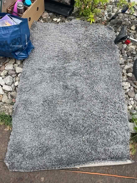 Photo of free Rug (Souderton) #1