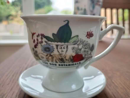 Photo of free Hendricks gin teacup and saucer (Leyland PR25) #2