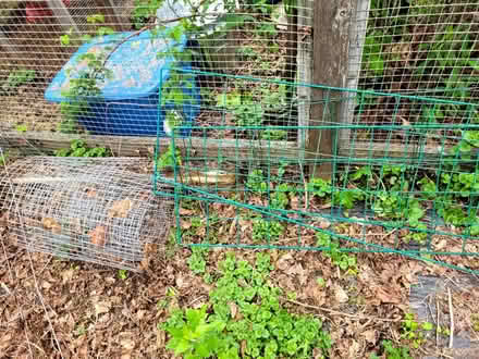 Photo of free 14 tomato cages, patio heater (Portsmouth NH) #3
