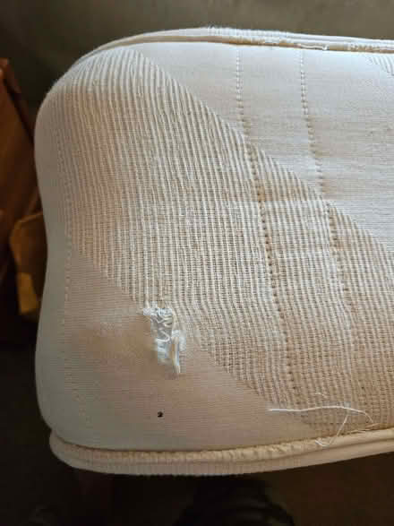 Photo of free Dreamland single mattress (Bloxham OX15) #2