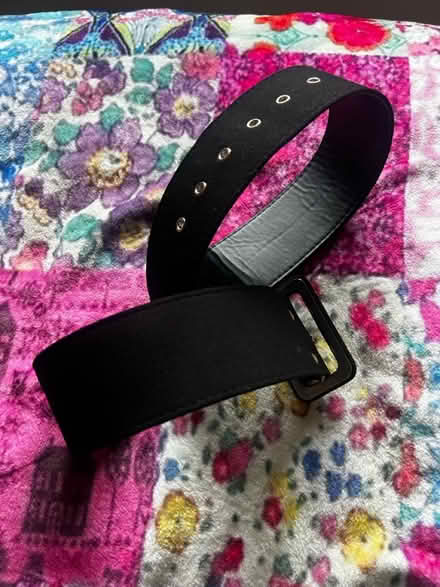 Photo of free Black belt (Cambridge CB5) #2