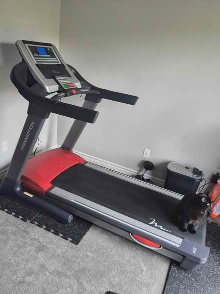 Photo of free Freemotion XTR treadmill (Manotick / Riverside South) #1