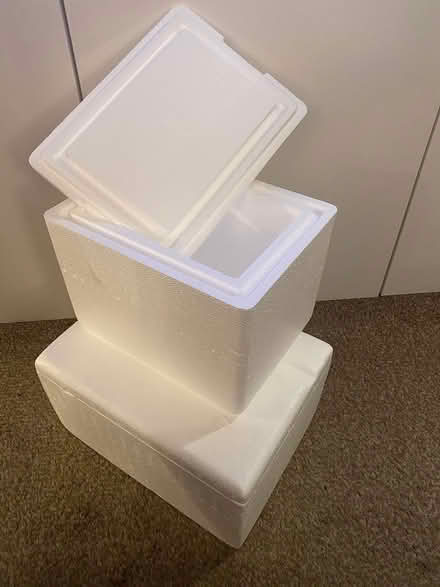 Photo of free Styrofoam boxes (Mountain View) #1