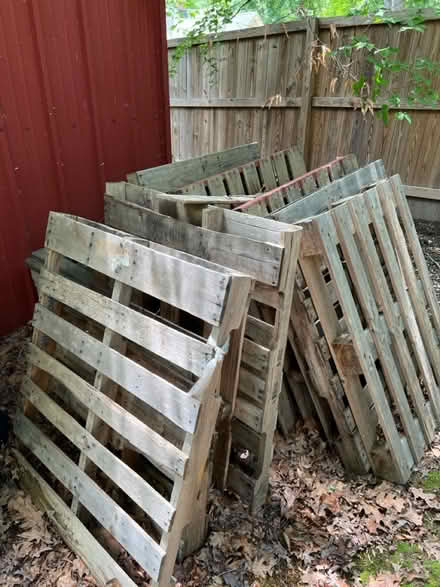 Photo of free Wooden Pallets (Adelphi) #1