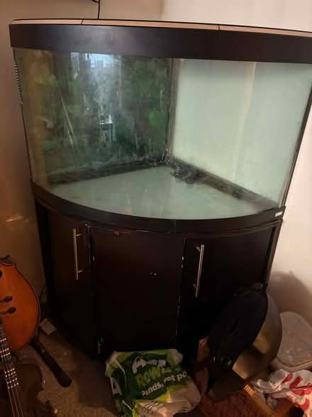 Photo of free 190L corner fluval fish tank (Ellesmere Port CH65) #2