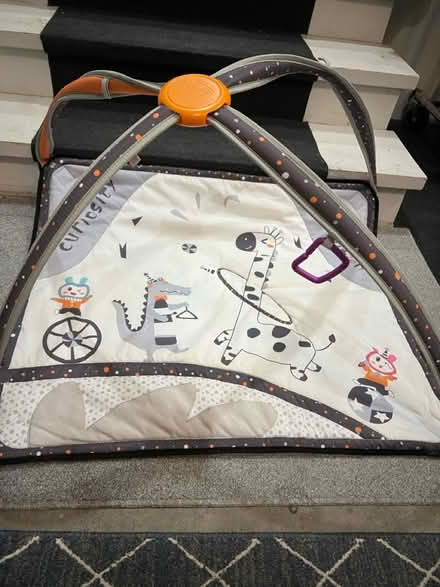Photo of free Infant Play Mat (26 and Dequindre) #1