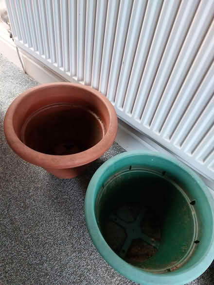 Photo of free Two Plastic Plant Pots (Southsea PO4) #1