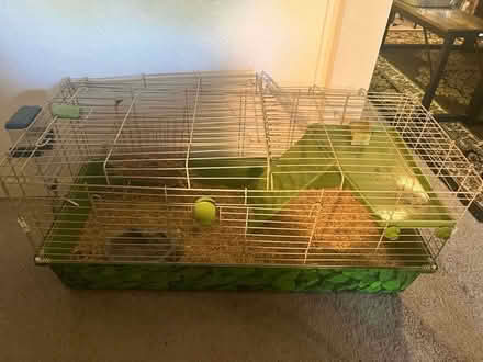 Photo of free Small cage (Campbell/los gatos) #2