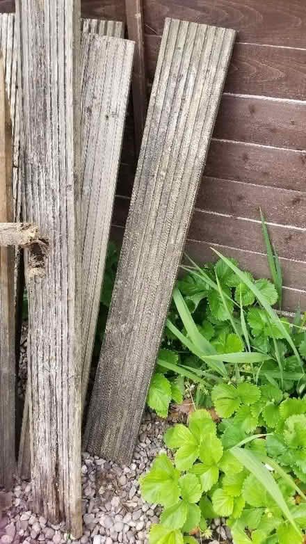 Photo of free Decking (Binfield RG42) #4