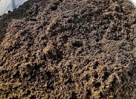 Photo of free Lots of topsoil (South Chailey BN8) #1