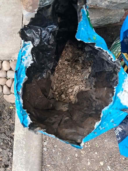 Photo of free Broken paving slabs (Birchwood LN6) #1