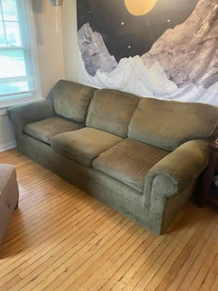 Photo of free Green goosedown sofa (Downers Grove) #1