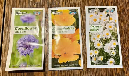 Photo of free Flower seeds (Hatfield AL10) #1