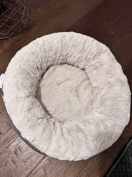 Photo of free Various cat supplies (Hyattsville, MD) #3