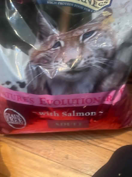 Photo of free Dry Cat Food - Salmon Flavor (Columbia Heights) #1