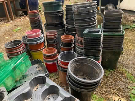 Photo of free Plant pots (Wiveliscombe TA4) #2