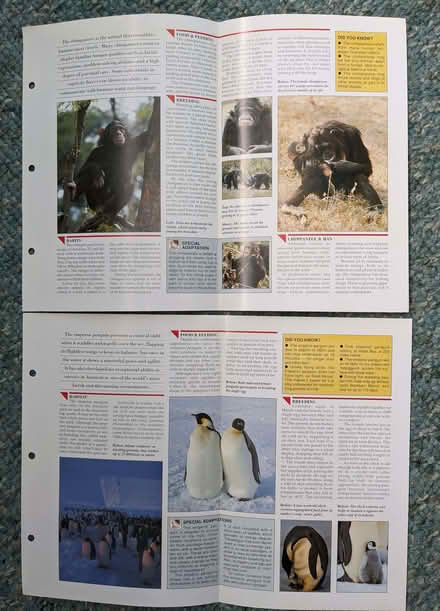 Photo of free 12x nature factfile cards (Kirkstall LS5) #2