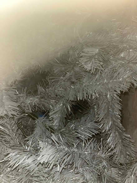 Photo of free 6 foot Christmas tree (BD18) #1