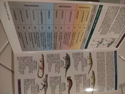 Photo of free Dinosaur pamphlet (Odenton) #2