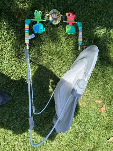 Photo of free Baby bouncer seat & removable cover (Valencia Avenue, Sunnyvale) #3