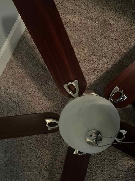 Photo of free Ceiling Fan (St charles mo) #3