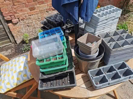 Photo of free Empty seed trays (LE9 (Earl Shilton)) #1