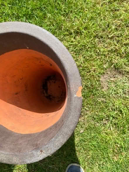 Photo of free Two tall slim plant pots (terracotta painted) (Newtown Linford LE67) #2