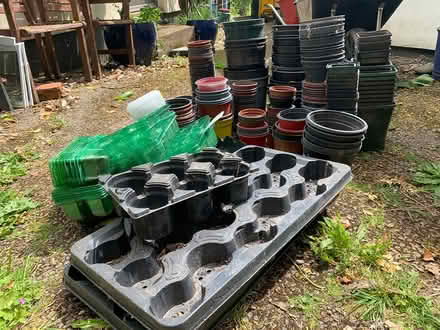 Photo of free Plant pots (Wiveliscombe TA4) #1