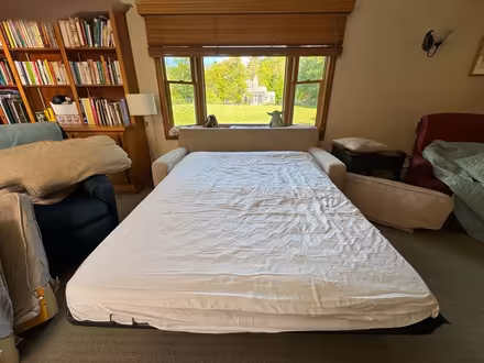 Photo of free Sofa bed (Marion, near 195.) #2