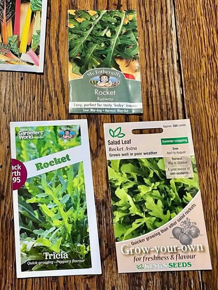 Photo of free Rocket seeds (Hatfield AL10) #1