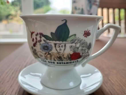 Photo of free Hendricks gin teacup and saucer (Leyland PR25) #2