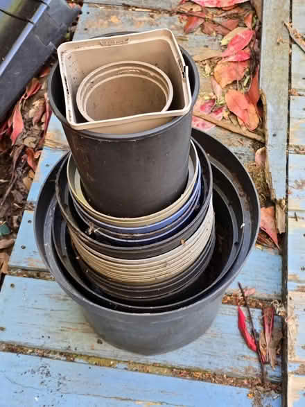 Photo of free Selection of plant pots (Johnstone) #1