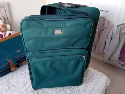 Photo of free Antler Suitacse (St Lawrence) #1