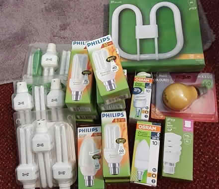 Photo of free Selection of bulbs (Litchard, Bridgend CF31) #1