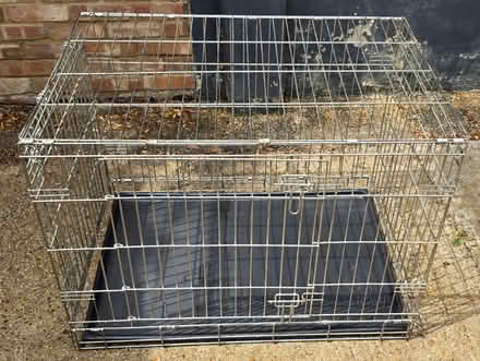 Photo of free Large Dog Crate (Sunbury-on-Thames TW16) #4