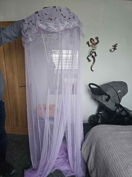 Photo of free Child's bed canopy (Kempston MK42) #1