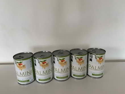 Photo of free Keto pasta! (Palmini) (Rochester ME1) #1