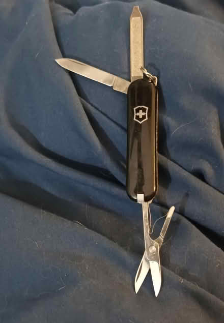 Photo of free Swiss Army Knife (Birdland) #1
