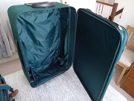 Photo of free Antler Suitacse (St Lawrence) #2