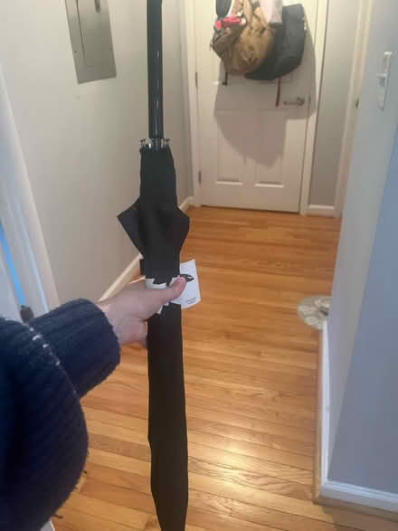 Photo of free Large daschund umbrella (Columbia Heights) #1