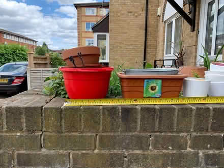 Photo of free Small indoor plant pots (Bermondsey SE1 5HP) #1