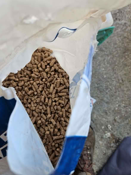 Photo of free 3/4 bag of hardwood fuel pellets (Pipehouse) #1