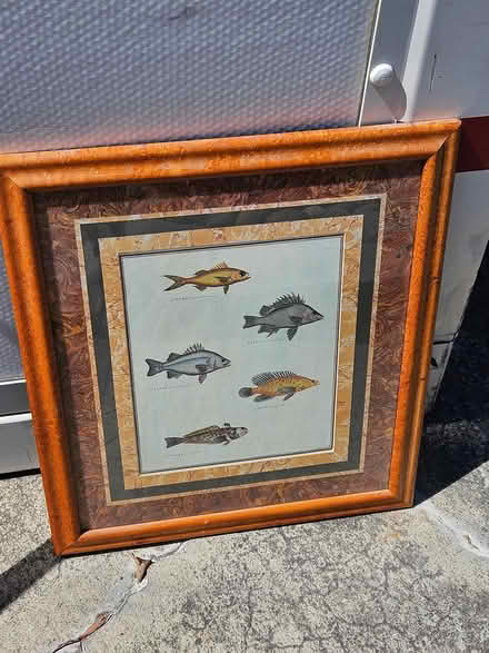 Photo of free Fish art (West San Jose) #1