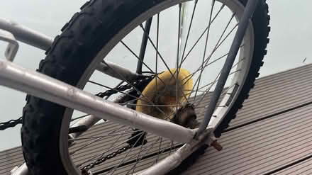 Photo of free Folding Bicycle (NW10) #4