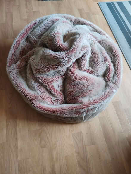 Photo of free Pink bean bag (RG2) #1
