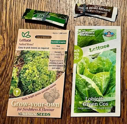 Photo of free Lettuce seeds (Hatfield AL10) #1