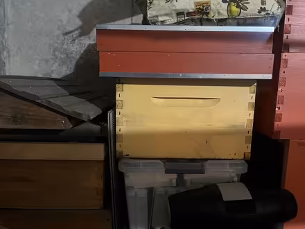 Photo of free Bee hive boxes (Acton, MA) #2