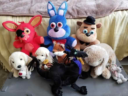 Photo of free Cuddly toys (Hampreston BH21) #1
